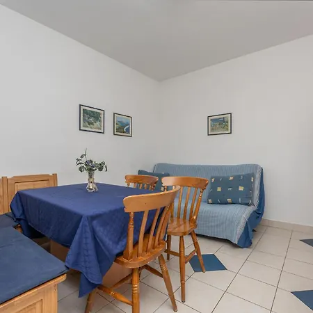 Pet Friendly In Apartment *