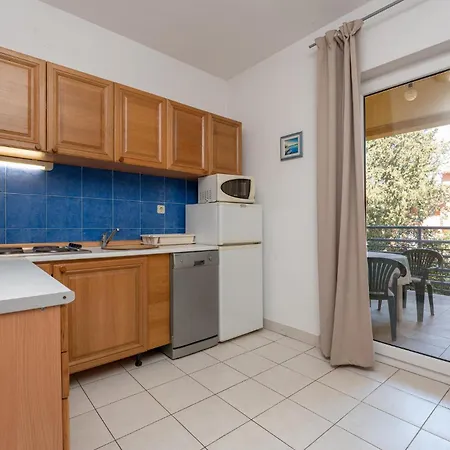 Pet Friendly In Apartment
