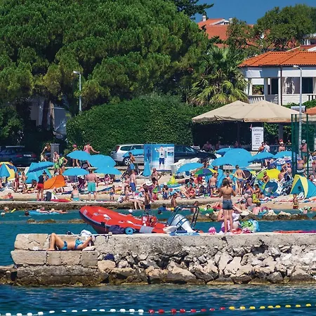 Apartamento Cozy In *